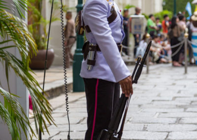 Die Königswache samt mobilem Telefon...