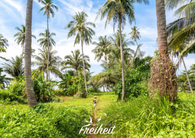 Man beachte die Größenverhältnisse