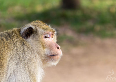 ...und macht sich davon.