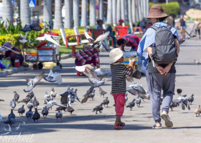 Kinder verkaufen Mais für die Tauben an Touristen
