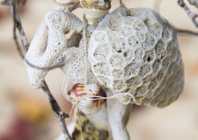 Long Beach - Deko aus toten Korallen