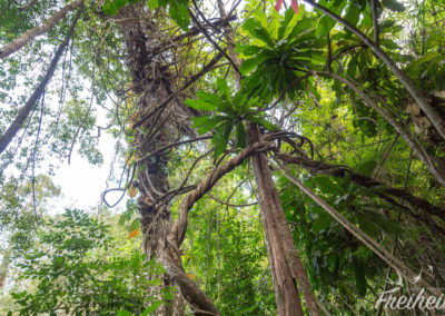 Nach oben gibts viel zu sehen.