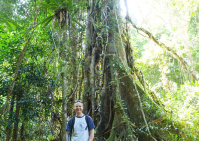 Mächtige Bäume am Flussbettrand