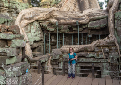 Ta Prom - gigantische Wurzeln