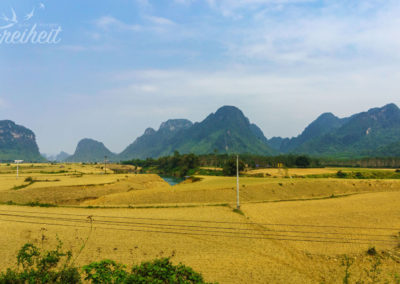 Phong Nha Nationalpark