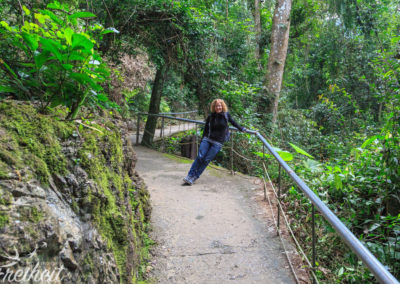 Ein Weg führt durch den Wald zum Höhleneingang