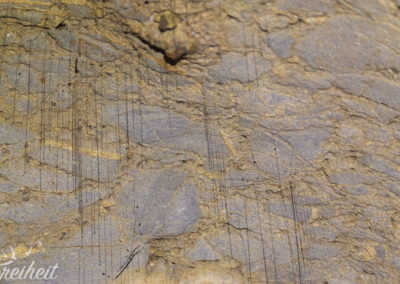 Fäden mit Tropfen hängen von der Höhlendecke