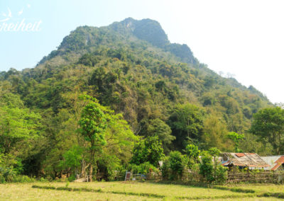 Laotischer Bauernhof im Grünen