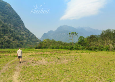 Weideland statt Reisfeld