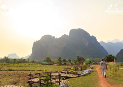 Zwischen den Reisfeldern