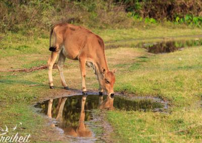 Gut, dass es geregnet hat