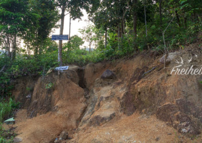 Hinein in den Wald zum Bottle Beach