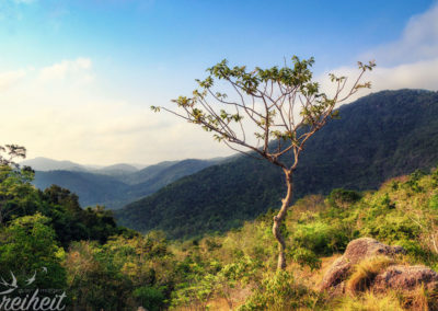 Toller Blick bei Morgenlicht