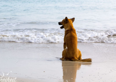 Was er wohl grad denkt?