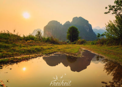 Sonnenuntergang auf dem Reisfeld