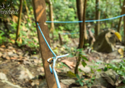 Ungewöhnliches Material im Wald. Eisen- statt Seilgeländer.