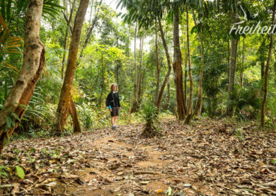 Im flachen Teil des Anstiegs ist es wunderschön