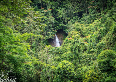 Die grüne "Hölle" ;-)