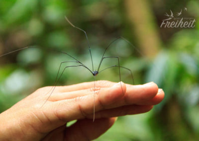 Beine so weit das Auge reicht ^^