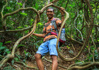 Nurdin zwischen verholzten Lianen