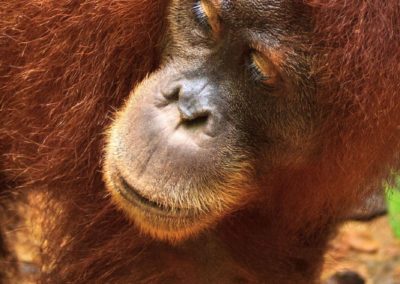 Ganz nah an der Fotolinse vorbei :)