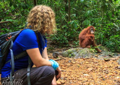 Gegenseitiges Beobeachten