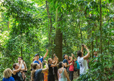 Alle wollen sie sehen - die Orang Utans. Zum Glück waren wir später wieder alleine..