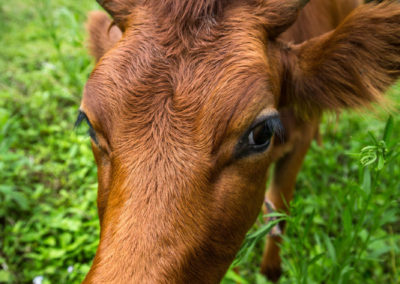 Was für eine Hübsche - und die Wimpern erst :)