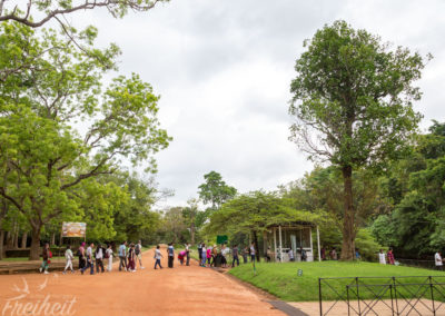Eingang zum Löwenfelsen - wir gehen weiter
