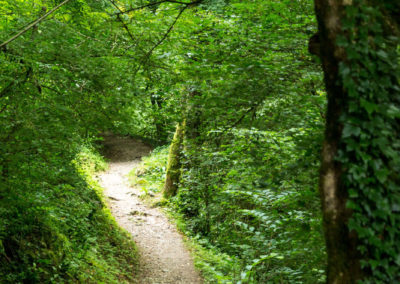 Noch ist der Weg in die Tolminer Klamm easy