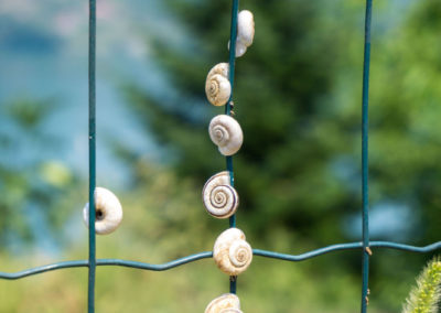 An Zäunen und im Gebüsch sehen wir immer wieder jede Menge Schnecken - übrigens in ganz Bosnien, nicht nur hier