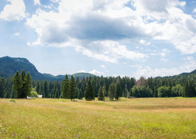 Schwarzwald in Kroatien :)
