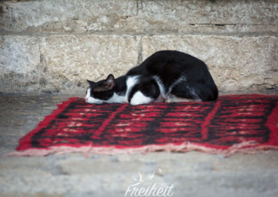 Kurz nach 6 Uhr - alle schlafen, nur wir sind schon unterwegs