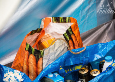 Schlange auf der Suche nach Wasser