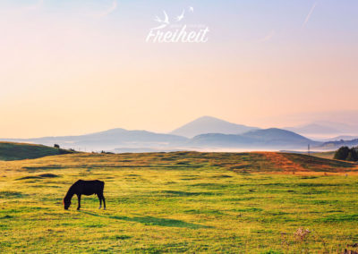 Wunderschöne Morgenstimmung