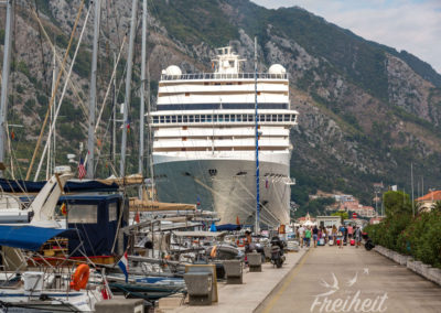 MSC Musica im Hafen von Kotor