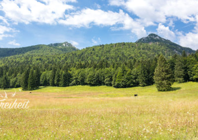 Auf dem linken Gipfel waren wir