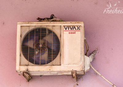 Nistende Taube auf einem Klimaanlagenkondensator