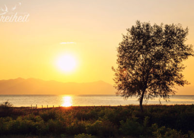 Sonnenuntergang am Skutari See