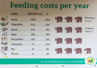 Raubtiere ja, aber Obst und Gemüse in der Mehrheit ;-)