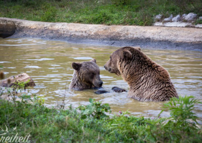 Nach dem "Kampf" ist alles wieder gut