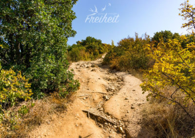Ein breiter Weg führt zu den Anhöhen der Pyramiden