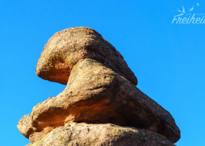 Nadine sieht einen Löwen, Carsten eine Quietscheente :-P