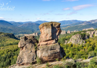 Eindeutig ein Gesicht im Profil, oder?