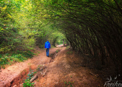 Ein Tunnel aus Blättern und Ästen