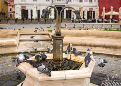 Ein 400m tiefer artesischer Brunnen - leider fast kein Wasser...