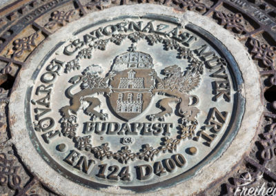 Hübscher Gullideckel :)