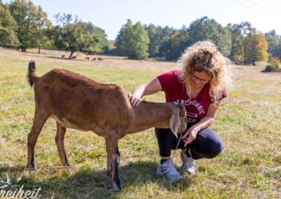Tiny hat entdeckt, dass sie an Nadines Schnürsenkeln ziehen kann