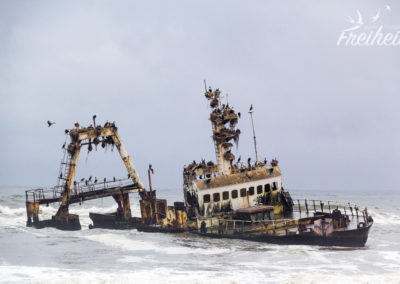 Das Wrack der "Zeila"