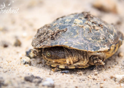 Und wir sehen dich doch ;-)